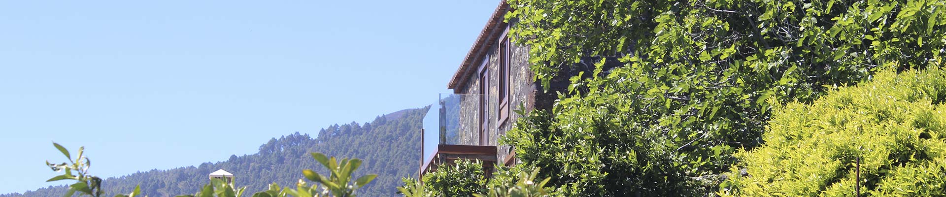 Blog de noticias Casa Rural Quinta Los Naranjos